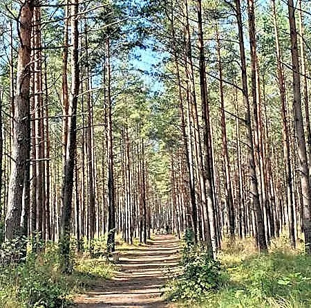 Mano Jura Jums/mine Sea For Palanga